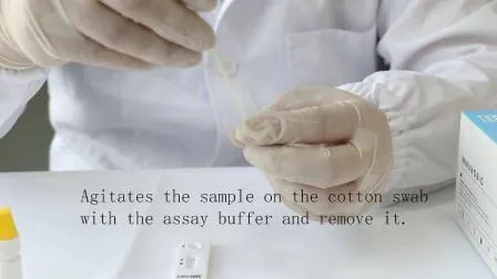 Human Use Infectious Virus Detection Device New Novel Disease Rapid Antigen Diagnostic Test Kit