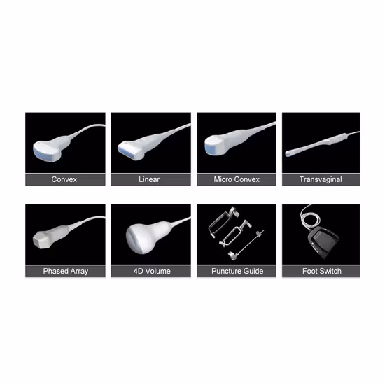 Trolley Ecografo 3D 4D Color Doppler Ultrasound Machine, Digital Cardiac Ultrasound Scanner