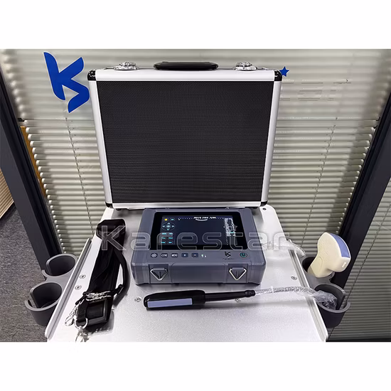 Handheld Vet Ultrasound Machine Portable Veterinary Ultrasound Scanner